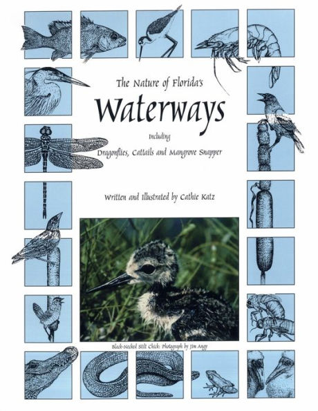 The Nature of Florida's Waterways: Including Dragonflies, Cattails, and Mangrove Snapper