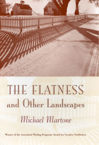 The Flatness and Other Landscapes