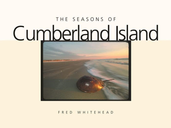 The Seasons of Cumberland Island