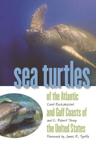 Sea Turtles of the Atlantic and Gulf Coasts United States