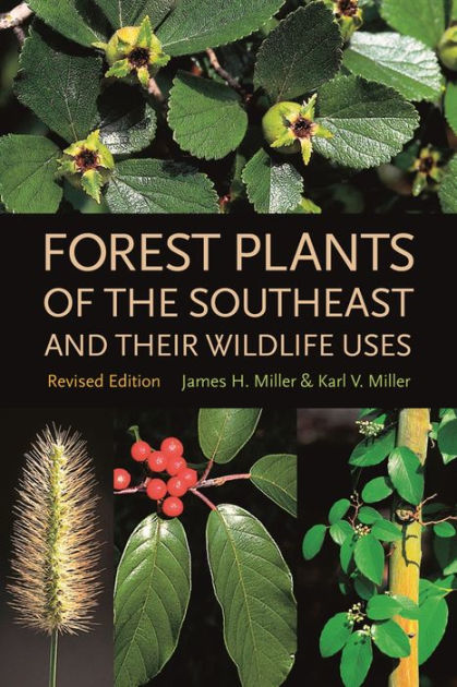 Forest Plants of the Southeast and Their Wildlife Uses by James H ...