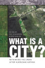 What Is a City?: Rethinking the Urban after Hurricane Katrina / Edition 1