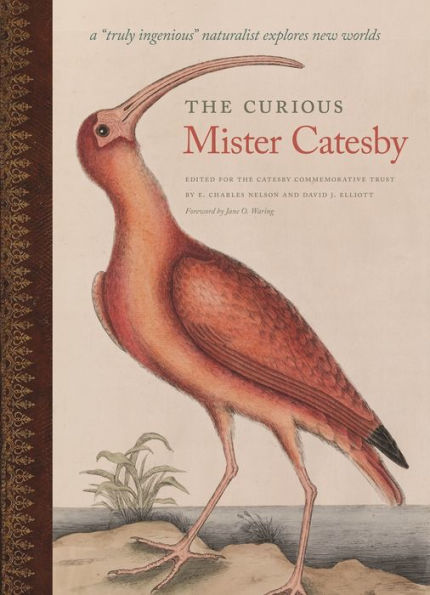 The Curious Mister Catesby: A 