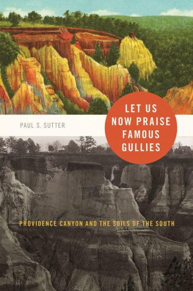 Let Us Now Praise Famous Gullies: Providence Canyon and the Soils of South