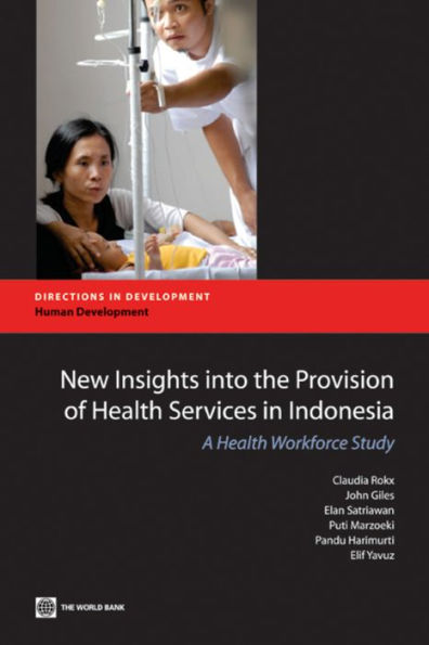 New Insights into the Provision of Health Services in Indonesia: A Health Workforce Study