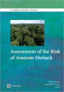 Assessment of the Risk of Amazon Dieback