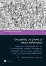 Uncovering the Drivers of Utility Performance: Lessons from Latin America and the Caribbean on the Role of the Private Sector, Regulation, and Governance in the Power, Water, and Telecommunication Sectors