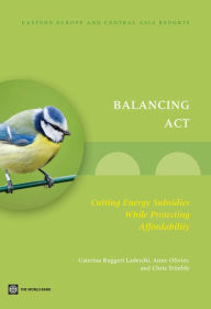 Title: Balancing Act: Cutting Energy Subsidies while Protecting Affordability, Author: Caterina Ruggeri Laderchi