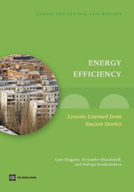 Title: Energy Efficiency: Lessons Learned from Success Stories, Author: Gary Stuggins