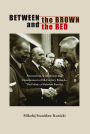 Between the Brown and the Red: Nationalism, Catholicism, and Communism in Twentieth-Century Poland-The Politics of Boleslaw Piasecki