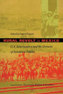 Rural Revolt in Mexico: U.S. Intervention and the Domain of Subaltern Politics / Edition 1