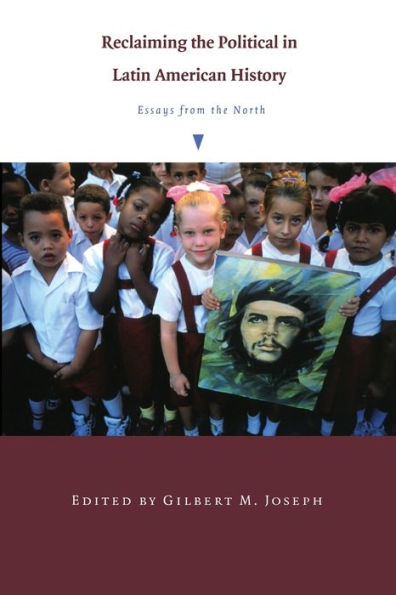 Reclaiming the Political in Latin American History: Essays from the North