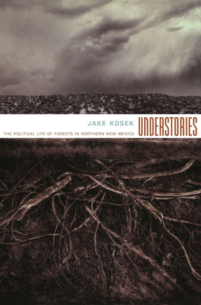 Understories: The Political Life of Forests in Northern New Mexico / Edition 1