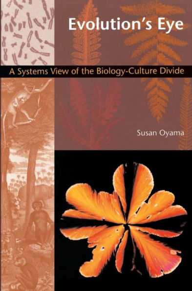 Evolution's Eye: A Systems View of the Biology-Culture Divide