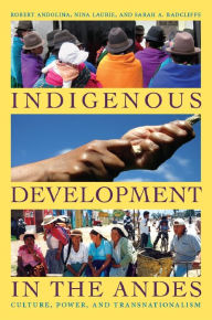 Title: Indigenous Development in the Andes: Culture, Power, and Transnationalism, Author: Robert Andolina