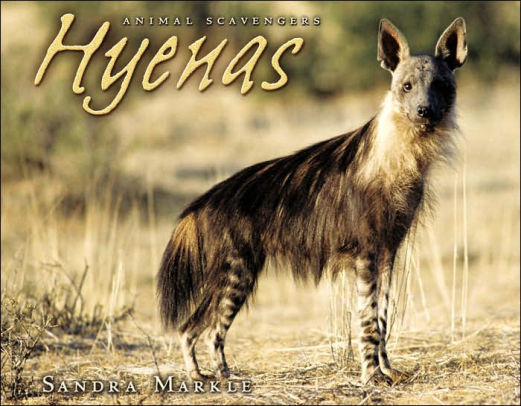 Hyenas Animal Scavengers Series By Sandra Markle