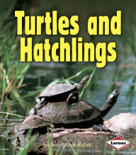 Title: Turtles and Hatchlings, Author: Ann-Marie Kishel