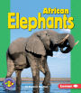 African Elephants