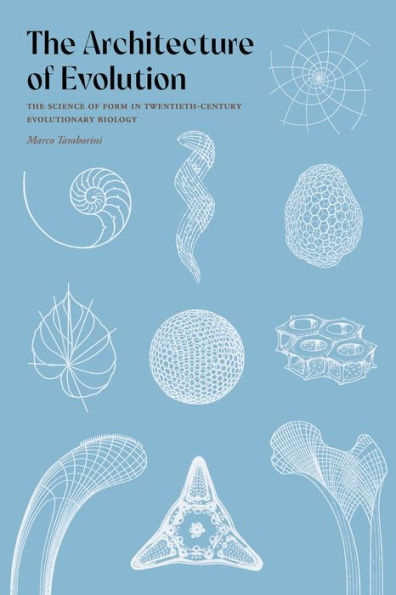 The Architecture of Evolution: Science Form Twentieth-Century Evolutionary Biology