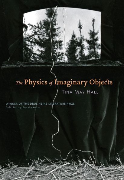 The Physics of Imaginary Objects