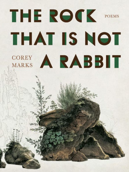 The Rock That is Not a Rabbit: Poems