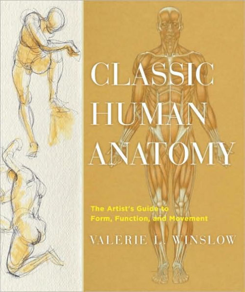 Classic Human Anatomy: The Artist's Guide to Form, Function, and Movement