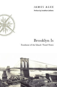 Brooklyn Is: Southeast of the Island: Travel Notes