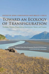 Title: Toward an Ecology of Transfiguration: Orthodox Christian Perspectives on Environment, Nature, and Creation, Author: John Chryssavgis