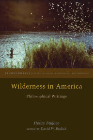 Title: Wilderness in America: Philosophical Writings, Author: Henry Bugbee