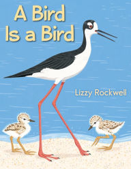 Title: A Bird Is a Bird, Author: Lizzy Rockwell