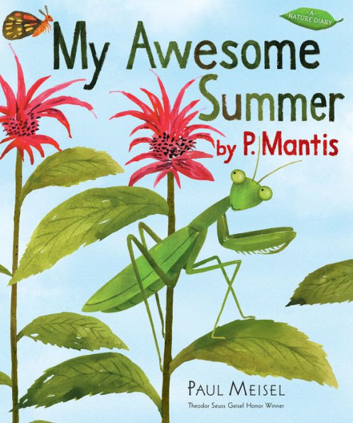 My Awesome Summer by P. Mantis