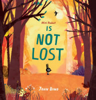Title: Mini Rabbit Is Not Lost, Author: John Bond