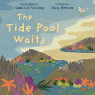 Electronic books to download for free The Tide Pool Waits English version 9780823449156 CHM FB2 iBook