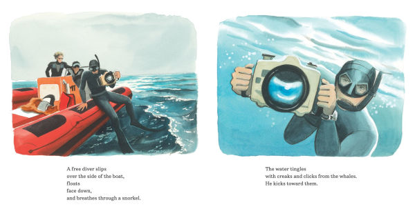 In the World of Whales