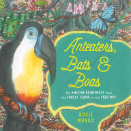 Title: Anteaters, Bats & Boas: The Amazon Rainforest from the Forest Floor to the Treetops, Author: Roxie Munro