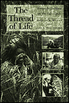 Title: The Thread of Life: Toraja Reflections on the Life Cycle / Edition 1, Author: Douglas W. Hollan