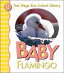 Baby Flamingo (San Diego Zoo Animal Library Series)