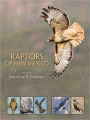 Raptors of New Mexico