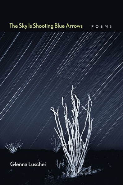 The Sky Is Shooting Blue Arrows: Poems