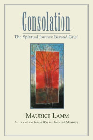 Title: Consolation: The Spiritual Journey Beyond Grief, Author: Maurice Lamm