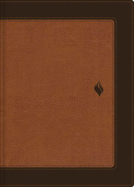 Title: RVR60, Biblia de estudio de la vida plena, Edición clásica, Leathersoft dos tonos Café, Palabras de Jesús en rojo, Comfort Print, Author: Vida