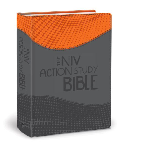 The NIV Action Study Bible-Premium Edition