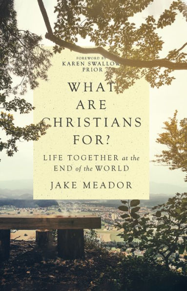 What Are Christians For?: Life Together at the End of World