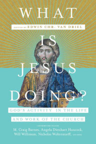 Title: What Is Jesus Doing?: God's Activity in the Life and Work of the Church, Author: Edwin Chr. van Driel
