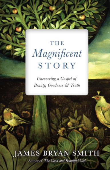 The Magnificent Story: Uncovering a Gospel of Beauty, Goodness, and Truth