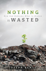 Title: Nothing Is Wasted: How God Redeems What Is Broken, Author: Joseph Bentz