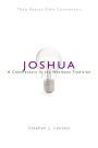 NBBC, Joshua: A Commentary in the Wesleyan Tradition