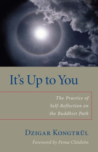 Title: It's Up to You: The Practice of Self-Reflection on the Buddhist Path, Author: Dzigar Kongtrul