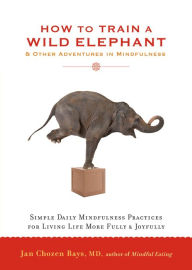 Title: How to Train a Wild Elephant: And Other Adventures in Mindfulness, Author: Jan Chozen Bays