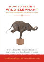 How to Train a Wild Elephant: And Other Adventures in Mindfulness